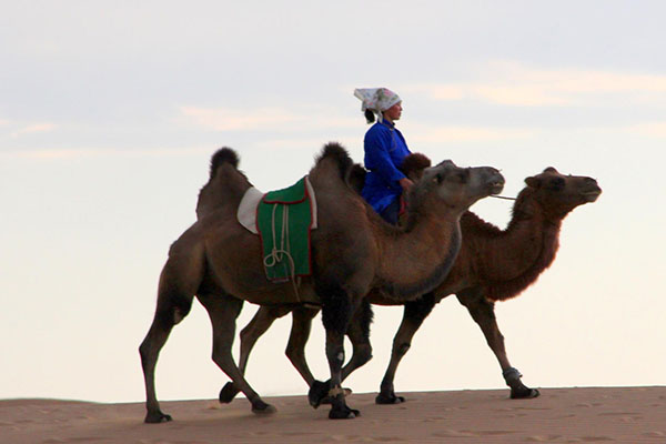 Golden Eagle Festival, Gobi Desert, Terelj & Hustai National Park